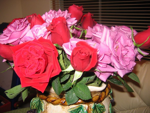 feb06 017.jpg